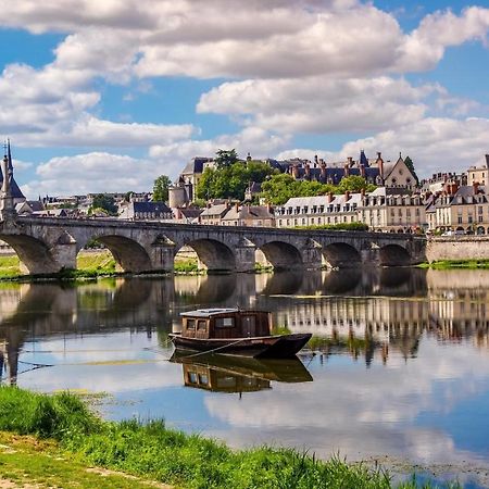 Appartement Haut Standing Proche Du Centre Ville, Vue Sur La Cathedrale Saint Louis Blois Exterior foto