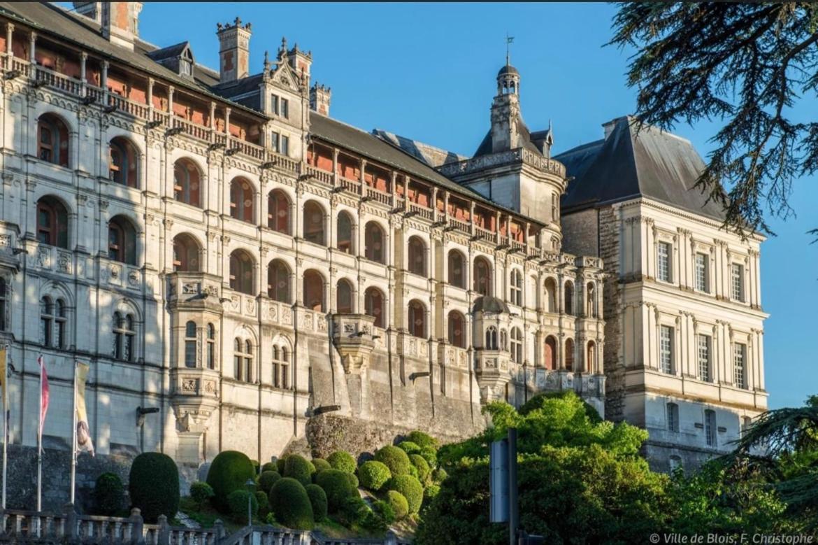 Appartement Haut Standing Proche Du Centre Ville, Vue Sur La Cathedrale Saint Louis Blois Exterior foto